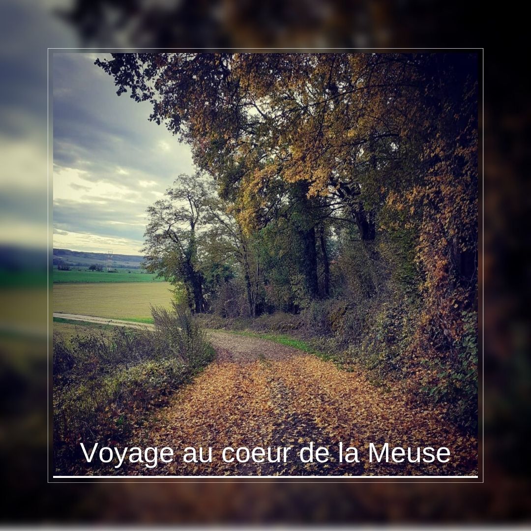 voyage-au-coeur-de-la-meuse-couverture-article